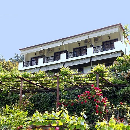 Villa Dimitra スカラ・ポタミアス エクステリア 写真
