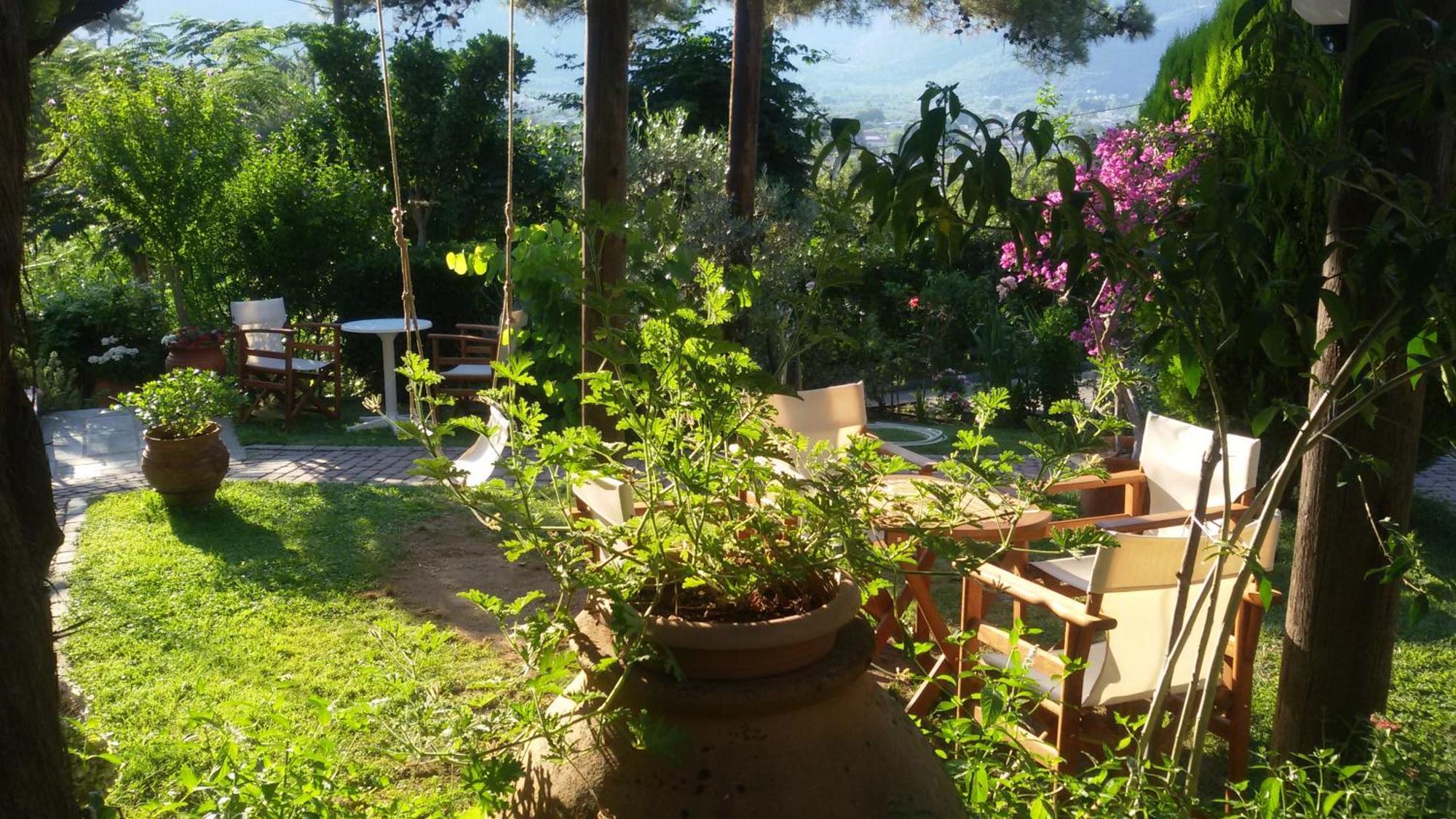 Villa Dimitra スカラ・ポタミアス エクステリア 写真