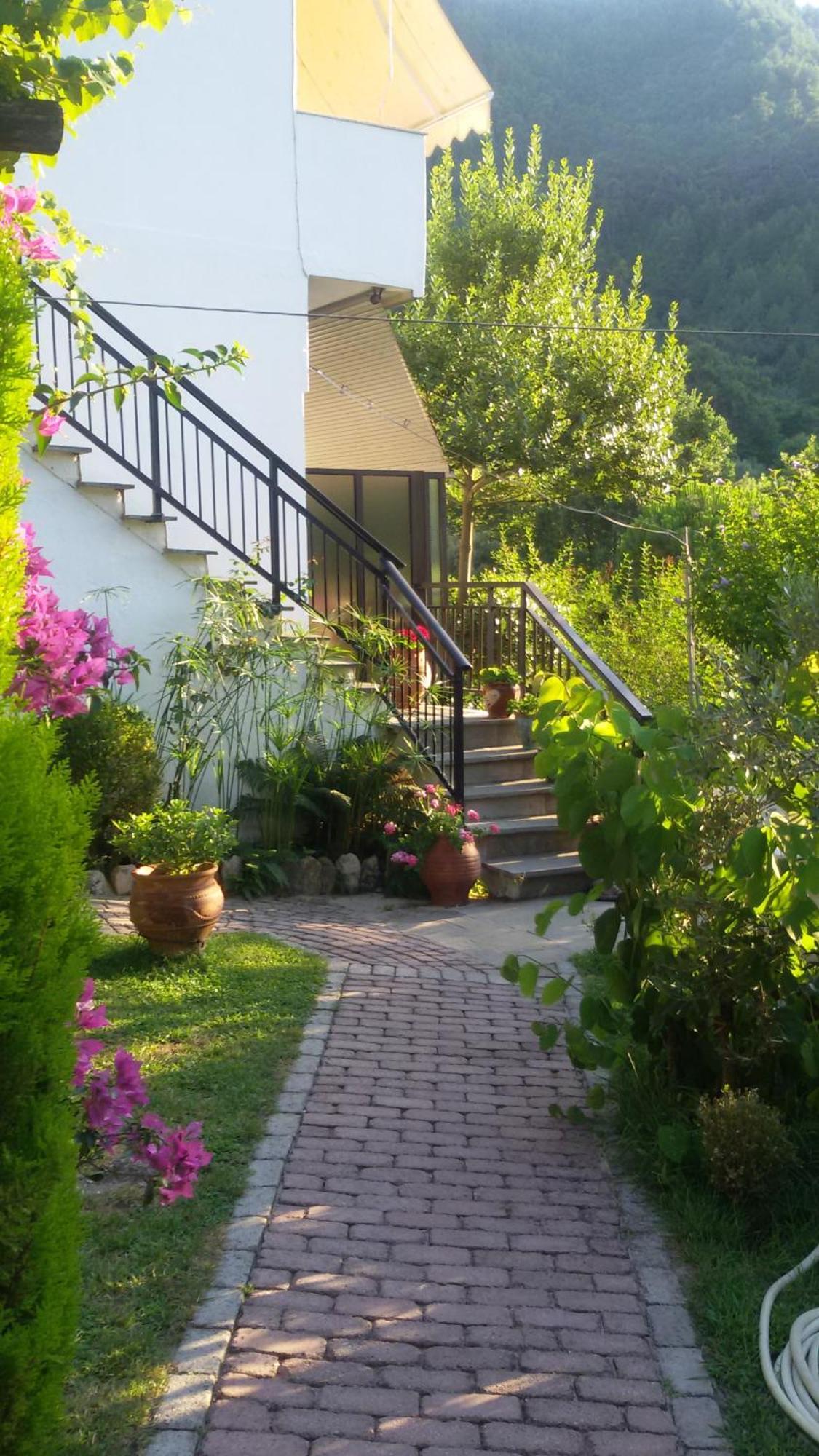 Villa Dimitra スカラ・ポタミアス エクステリア 写真