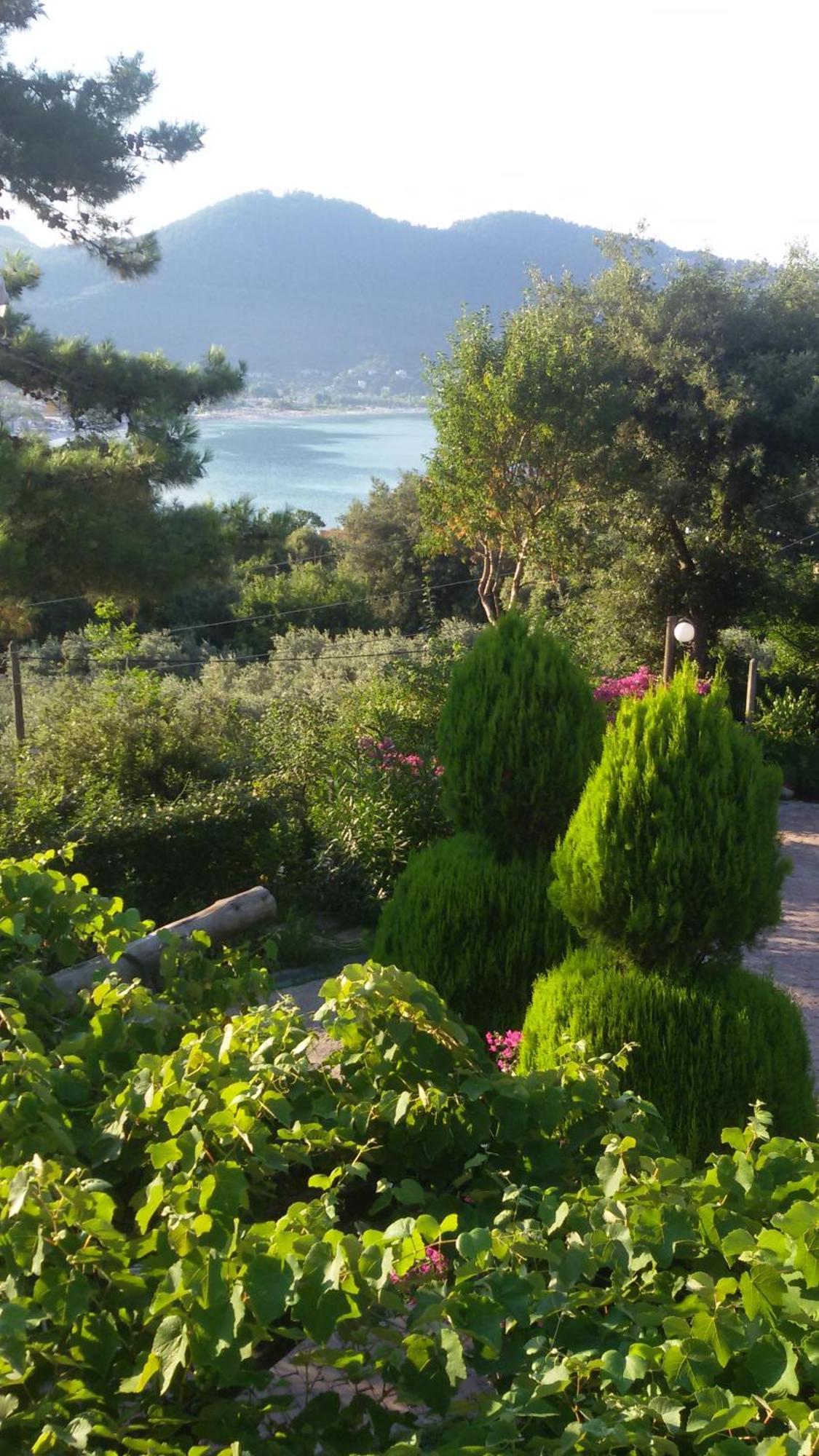 Villa Dimitra スカラ・ポタミアス エクステリア 写真