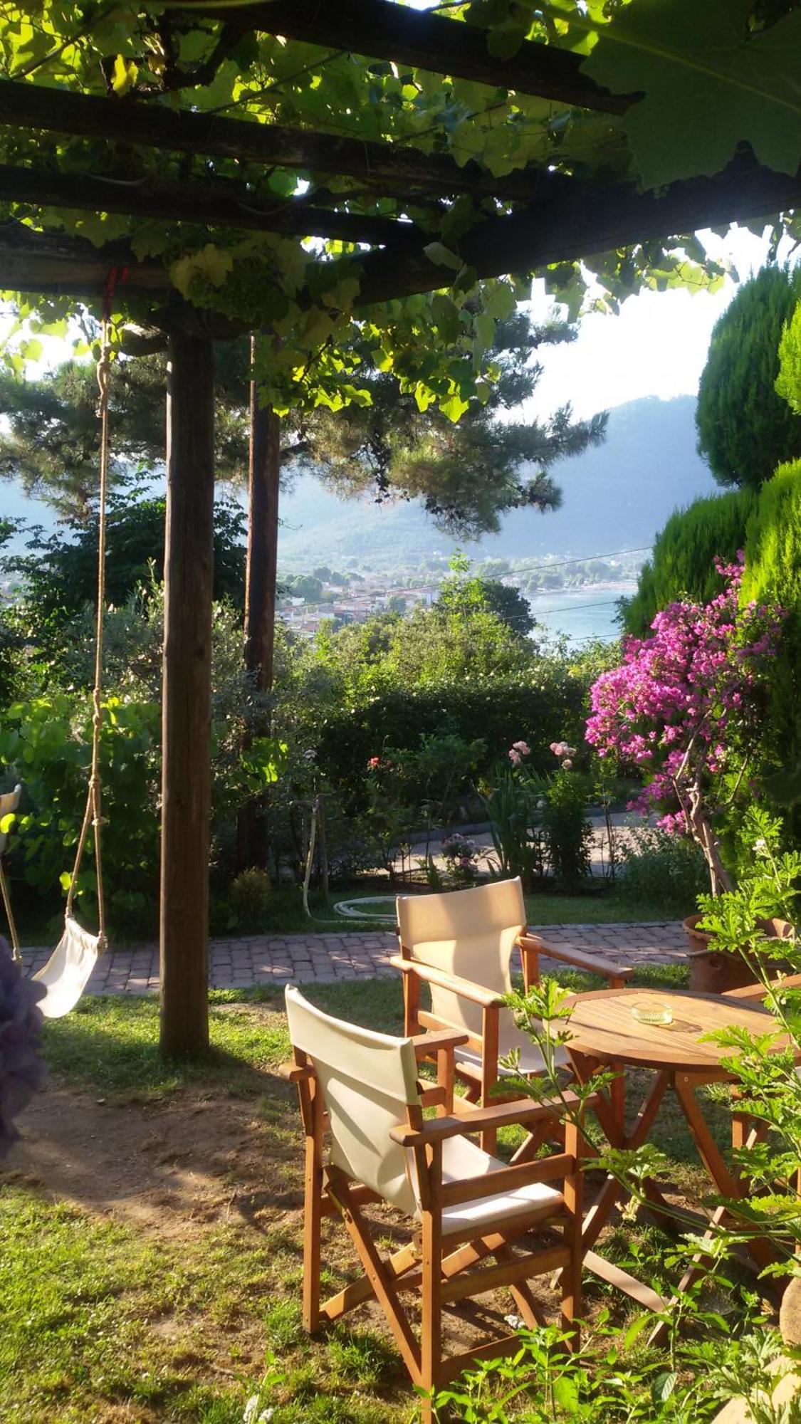 Villa Dimitra スカラ・ポタミアス エクステリア 写真