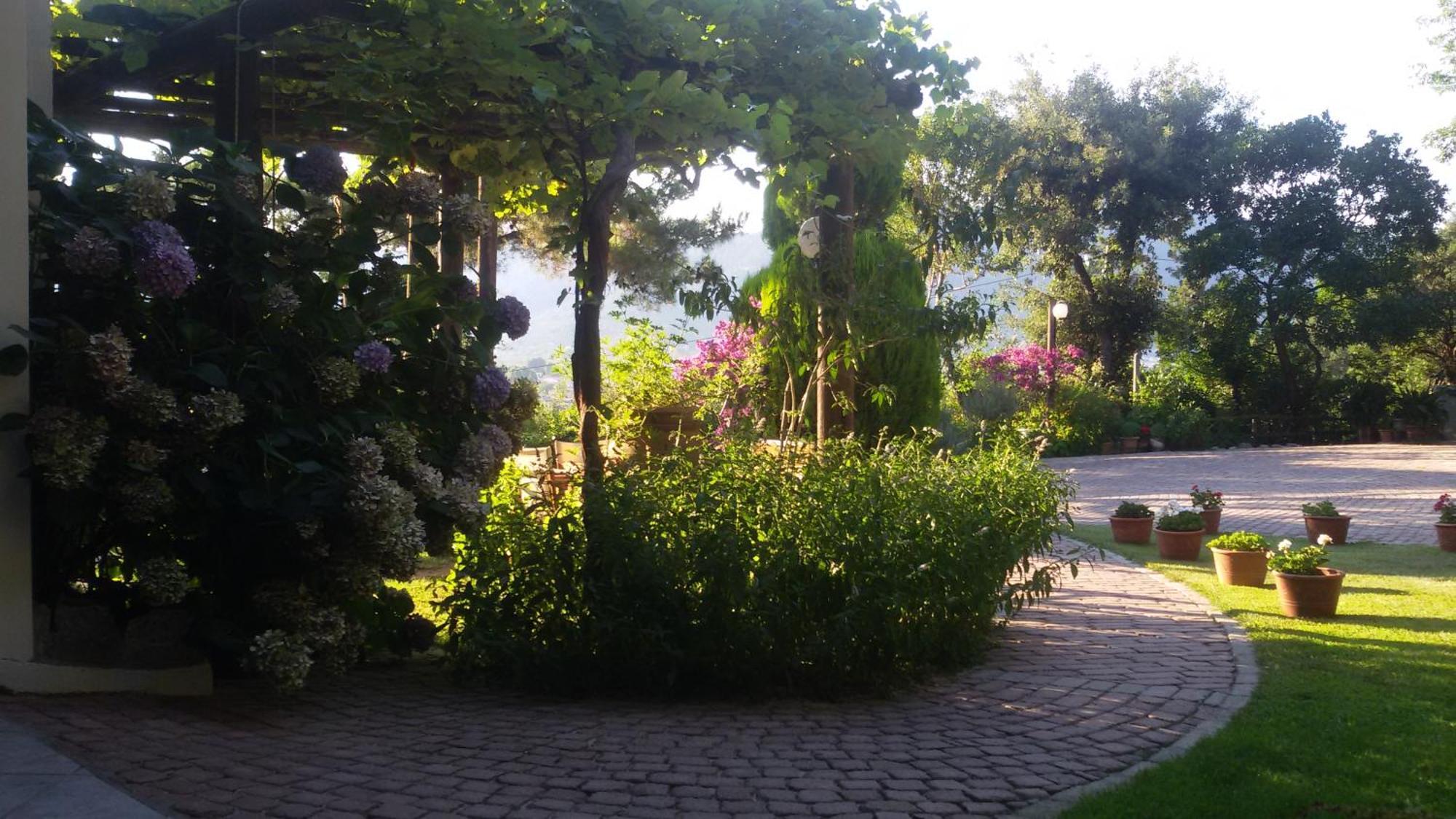 Villa Dimitra スカラ・ポタミアス エクステリア 写真