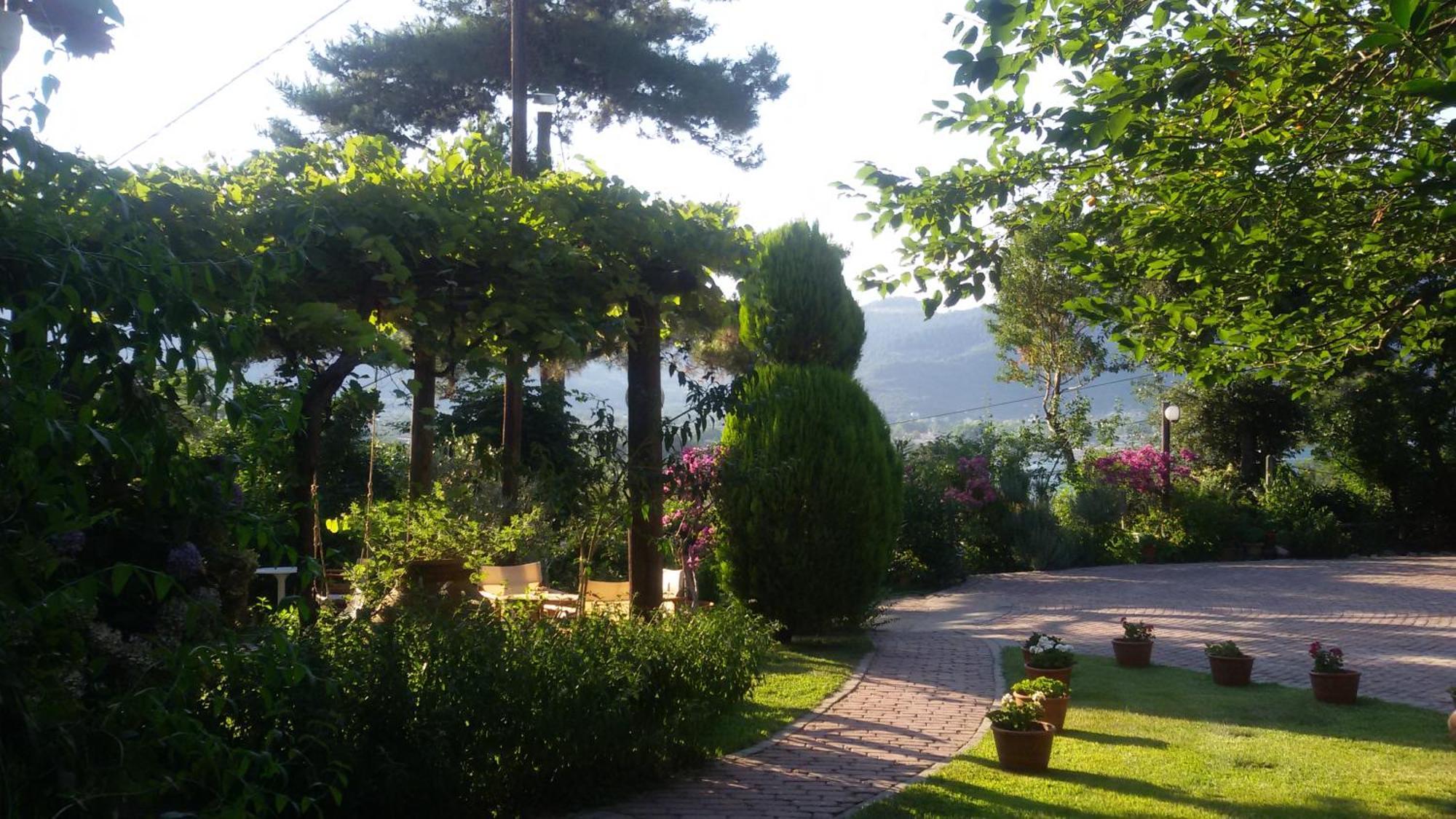 Villa Dimitra スカラ・ポタミアス エクステリア 写真